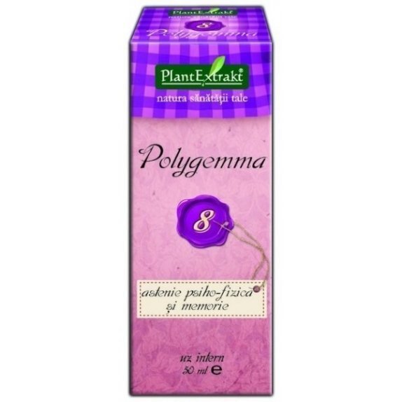 Polygemma 08 przemęczenie psychofizyczne i pamięć  50 ml PlantExtrakt cena 36,49zł