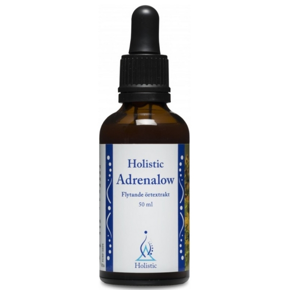 Holistic Adrenalow zioła na nadnercza 50 ml cena 108,00zł