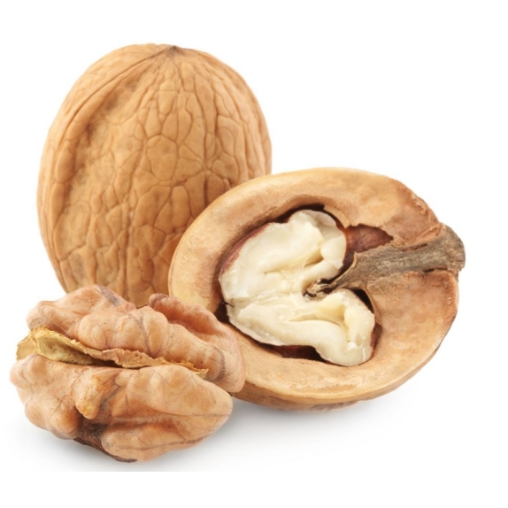 Orzechy włoskie w łupinie 1 paczka (0,5kg) cena 7,89zł