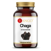 Chaga ekstrakt 90 kapsułek Yango