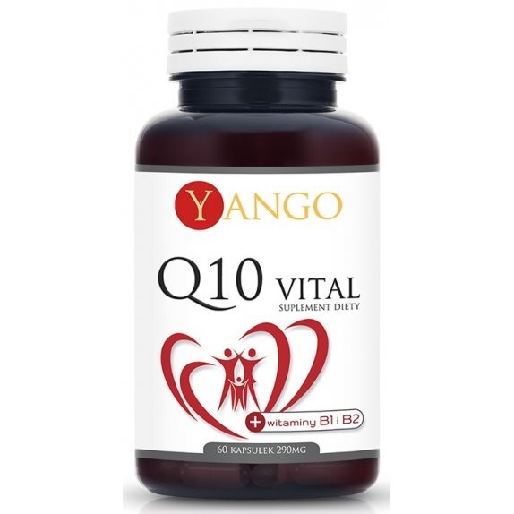 Q10 Vital Koenzym Q10 + witaminy B1 i B2 60 kapsułek Yango cena 94,35zł
